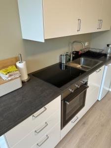 Modern studio apartment with wood-fired sauna