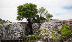 Casa Gaucho hospedate en una reserva natural
