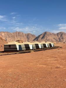 Discover the life of Wadi Rum camp
