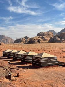 Discover the life of Wadi Rum camp