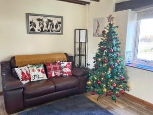 Teifi Cottage - Uk49590