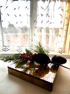 Oranuisce Thatch Cottage Ballyvaughan