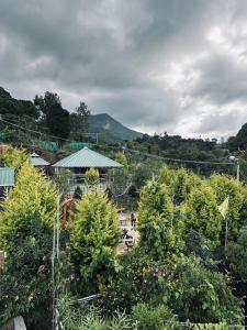 Aden Valley, kanthalloor