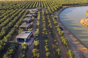 Olijvenkraal Winelands Lodge