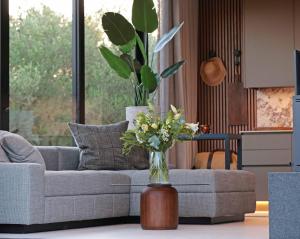 Olijvenkraal Winelands Lodge