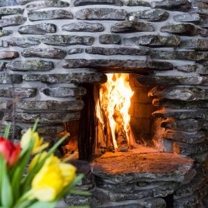 Karinhippu A Visit Levi