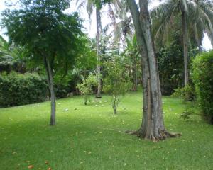 Sítio na praia da Feiticeira - Ilhabela