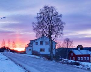The Doctors Apartment
