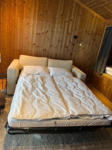 Charming and modern ski-in ski-out cottage