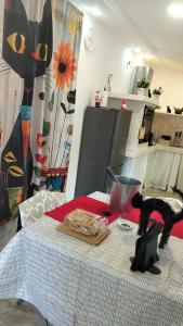 Il covo del gattonero