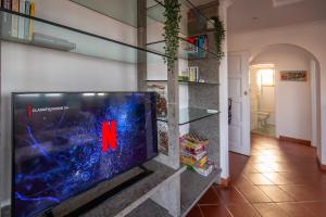 Le terrazze di Dany (attico su Roma)