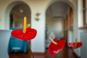 Le terrazze di Dany (attico su Roma)