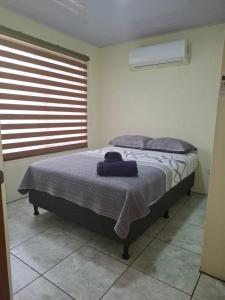 Corcovado Abi Apartments