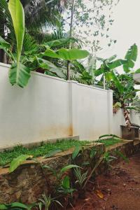 Clift - Quiet & Cozy Studio in Ahangama