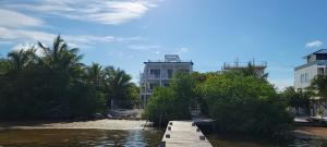 Lickety Split-Oceanview with Rooftop Escape