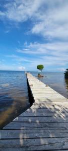 Lickety Split-Oceanview with Rooftop Escape