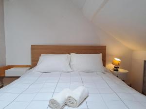 Duplex heart of Old Lille