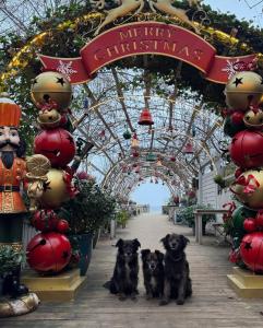 De luxurious apartment Sopot -Baltic Riviera Apartments