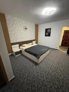 Garsonieră Single Room 25