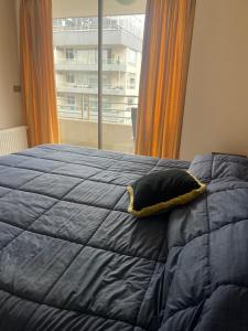 Viña del Mar Department