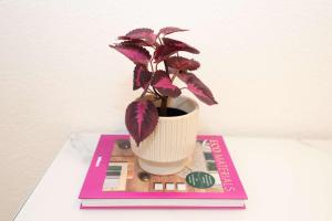 New City Center Apt with Private Entry & Parking