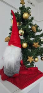 Appartamento Tortuga