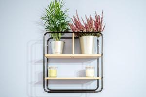 Exclusive Apartment Vatican