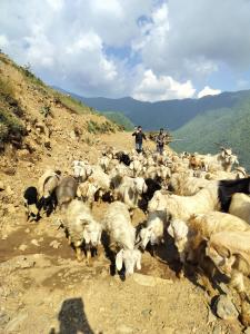 Nagtibba Trek - Three Sixty Views