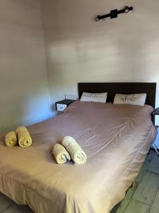 Casa Moderna en el Bosque