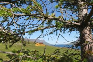 Langahlid Cottages & Hot Tubs