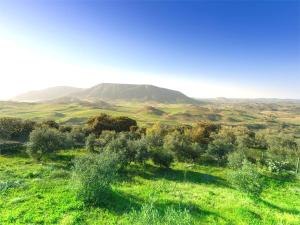 Villa 22 by Villamya