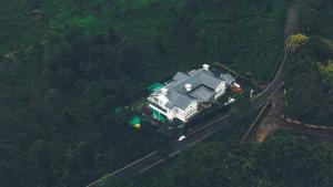 Memories at The Blue Mountains