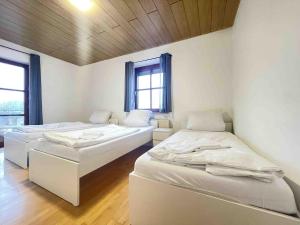 SAD262 große Monteurwohnung