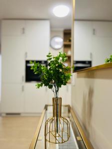 Central Loft Mimozelor