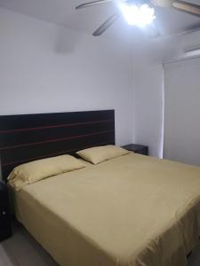 Bonita casa en el corazon turistico de Manzanillo