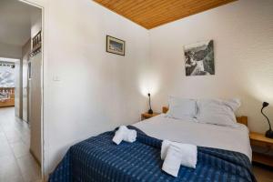 Ski-in Chalet-Style View Flat