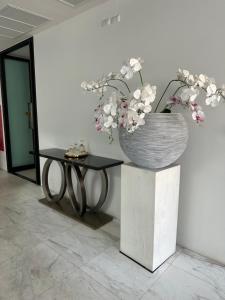 2 комнатные апартаменты с одной спальней и кухней-гостиной