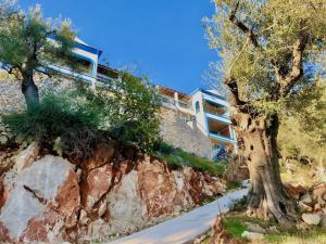 Elysian Hill Villa with private pool by DadoVillas