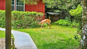 Sassafras Gap Retreat