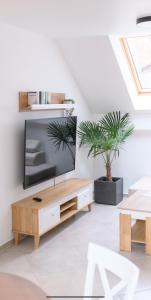 APARTAMENTY z GÓRSKIM KLIMATEM