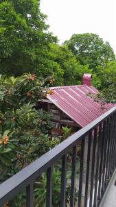 Apartment on Kobuleti beach1