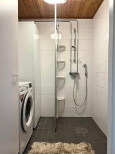 Kotoisa saunallinen kaksio