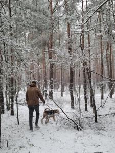 Sosnowy Raj domki nad Wkrą