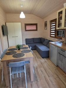 WYPOCZYWANKO w BORSKU domek 42
