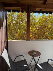 Tirana Urban Oazis -Central & Steps to Attractions