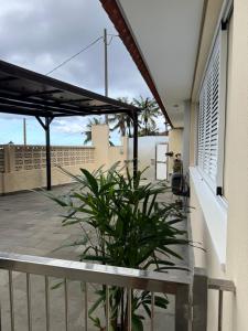 Tenerife North Escape