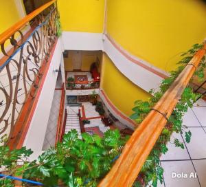 Estancia Grer By Chat Noir