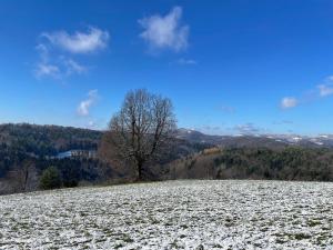 Zerko Holiday Apartment MARJETKA with WELLNESS bookable separately