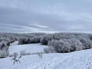 Zerko Holiday Apartment MARJETKA with WELLNESS bookable separately