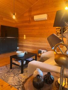 Le Finland labélisé 3 étoiles